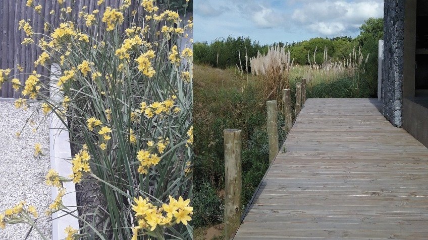Cuando las rocas y el naturalismo se respetan: los deck caminan sobre ellos y se despliegan como terrazas. 